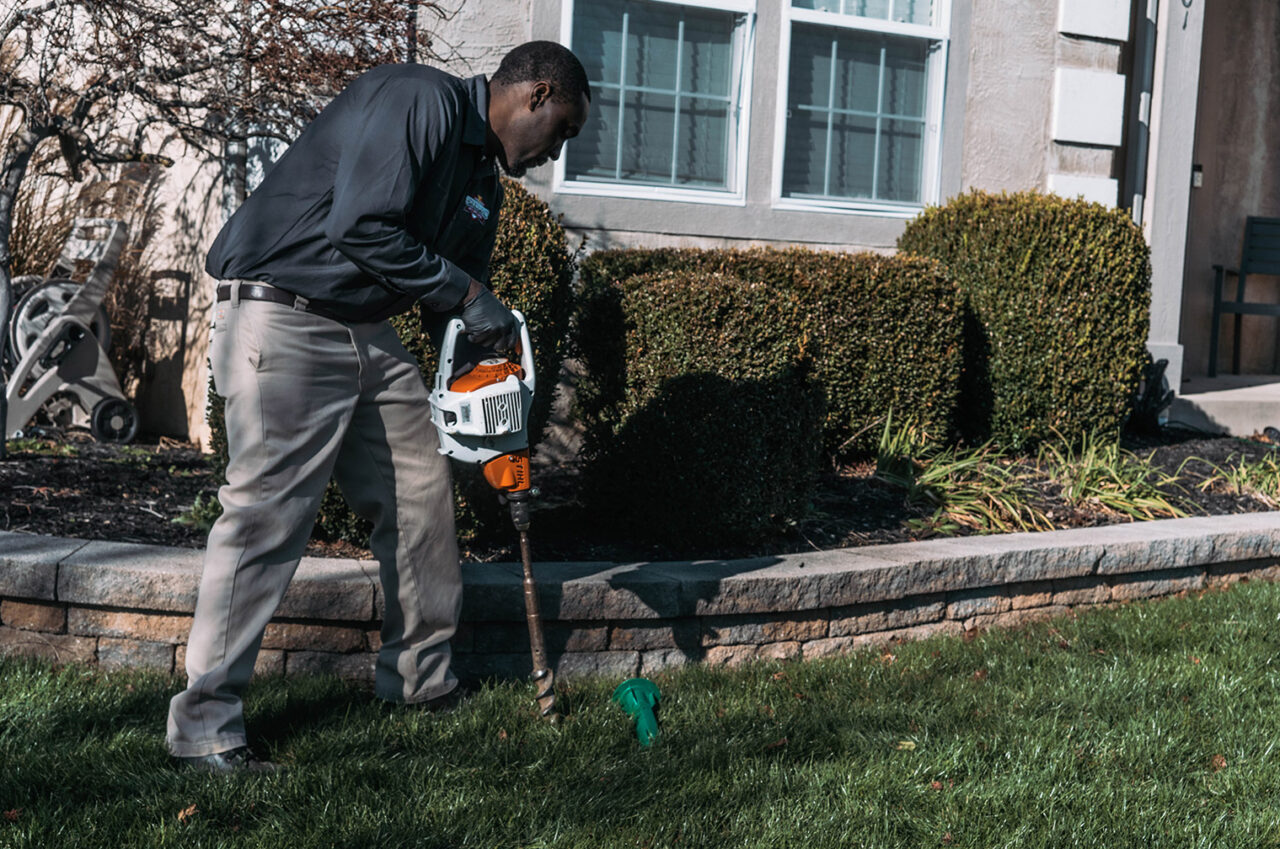 Termite Control Columbus Ohio Champion Pest Control