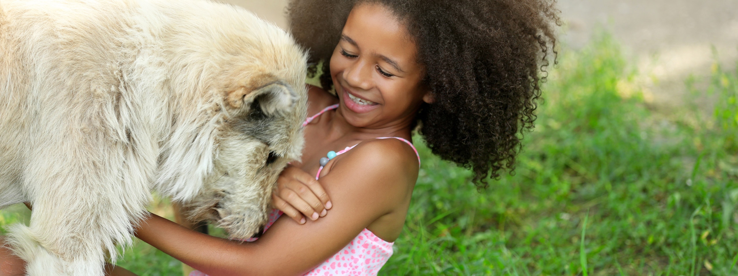 Is Pest Control Safe Around Children and Pets?