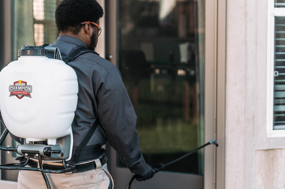 Pest Control Services Columbus Ohio Champion Pest Control