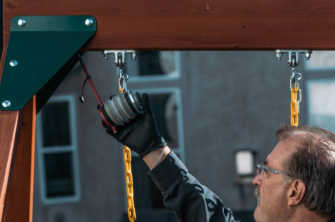 Wasp Exterminator Columbus Ohio Champion Pest Control