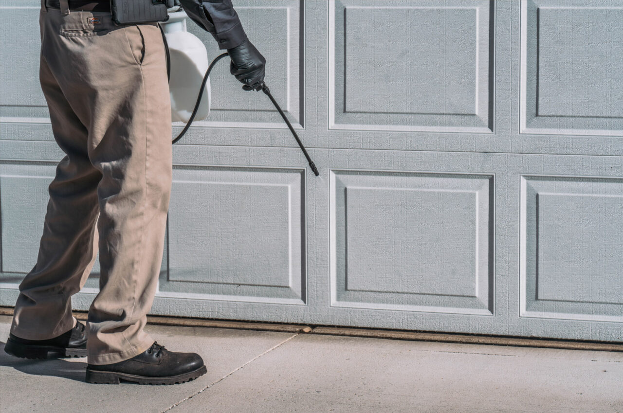 Ant Exterminator Columbus Ohio Champion Pest Control