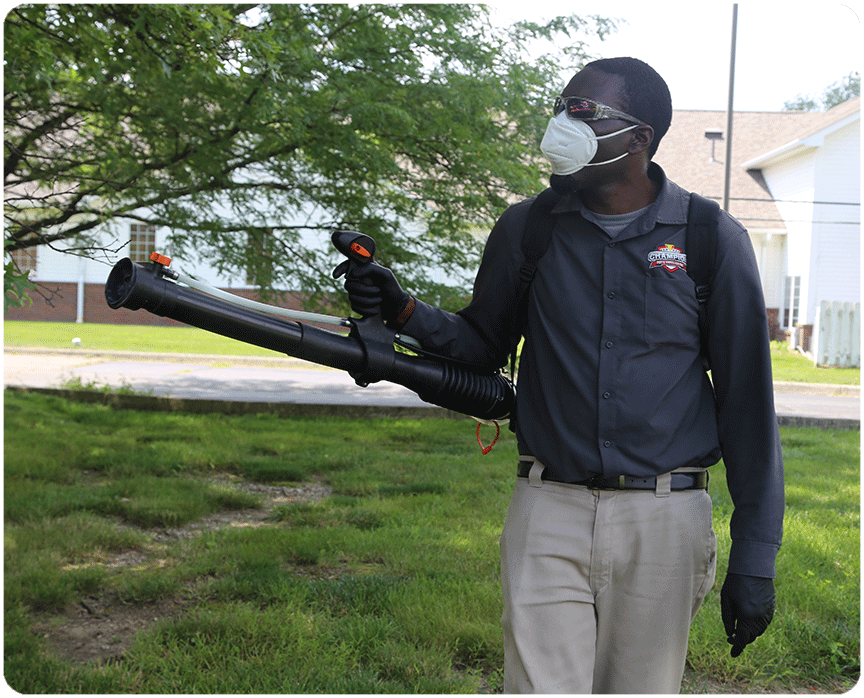 Professional Pest Treatment Service