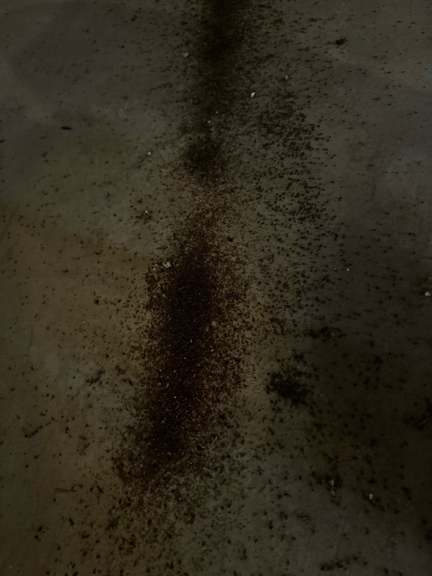 Ehab E. from Pickerington, Ohio Champion Pest & Termite Control