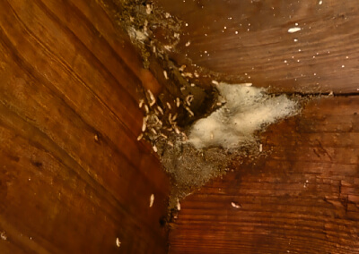 Wendie M. from Powell, Ohio