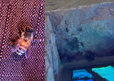 Brent from Groveport Rd, Ohio