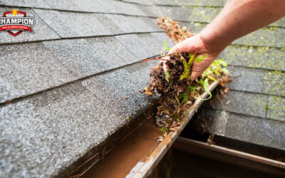 Mosquito and Tick Season in Central Ohio: What Homeowners Should Know