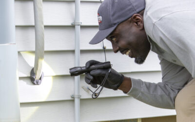 Why Pests Start Moving Indoors in Late Summer
