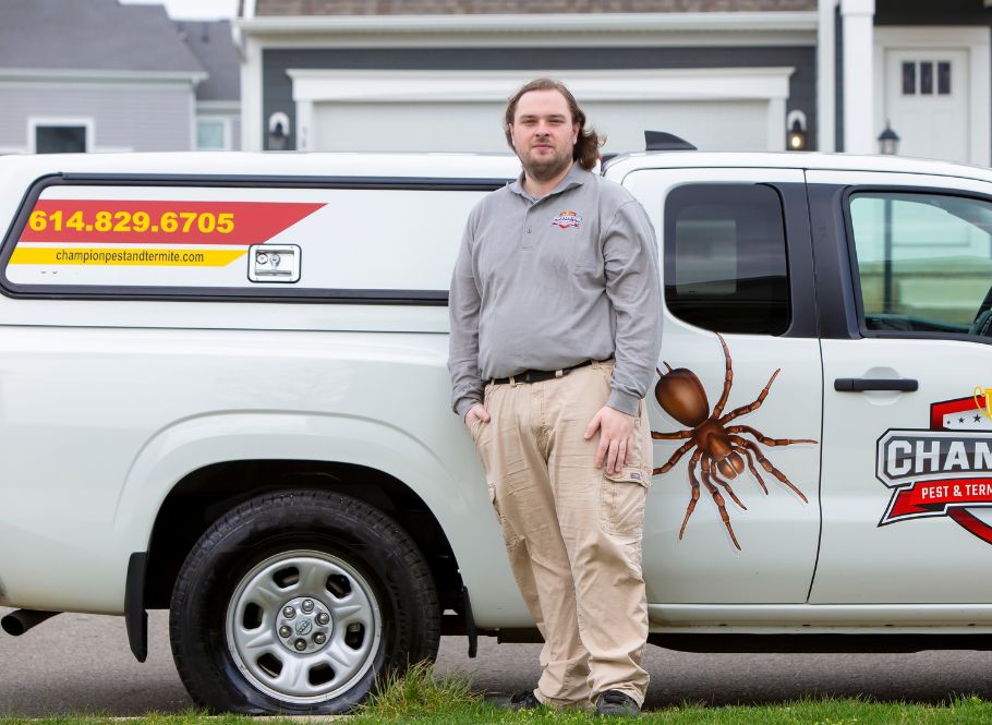 Champion Pest & Termite Control