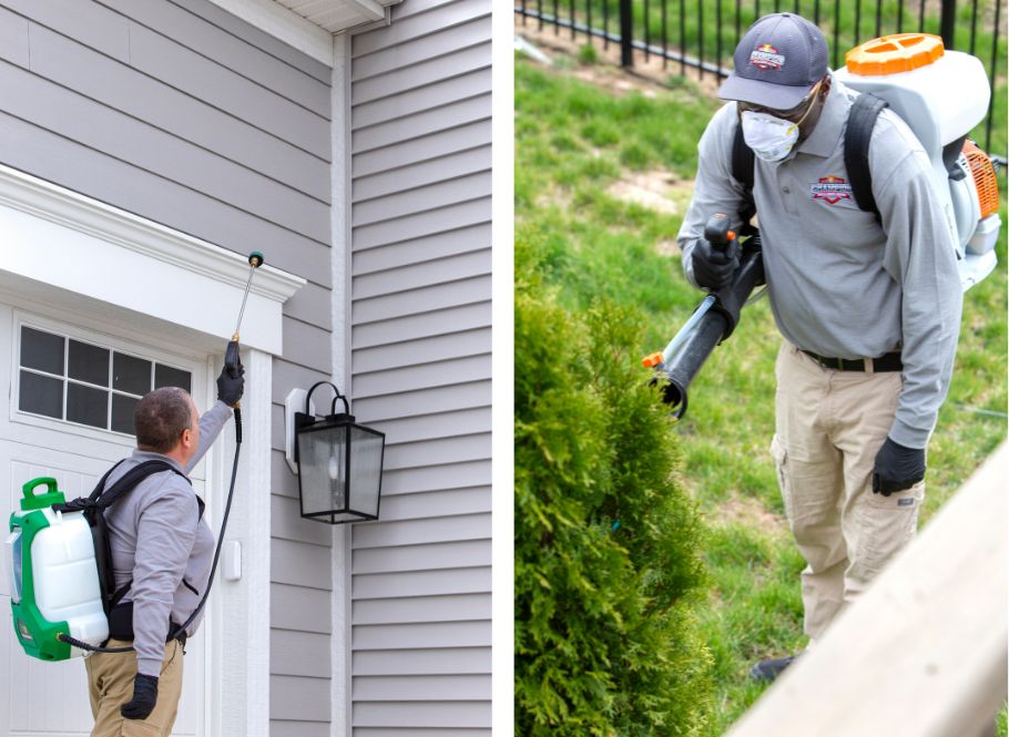 Exterminator Services