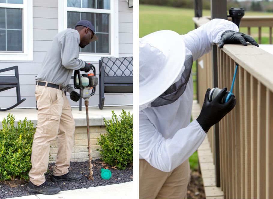 Pest Control Packages to Fit Your Needs